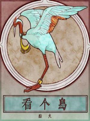 看个鸟by点火笔趣阁免费阅读无弹窗