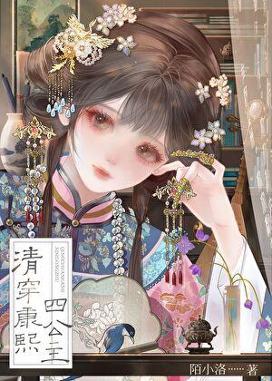 清穿康熙四公主男主