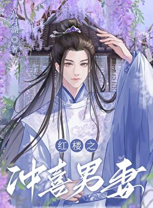 红楼之冲喜男妻全文阅读