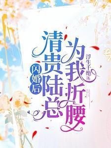 闪婚后我成了陆少的心头尖