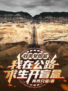 收美女图鉴,我在公路求生开盲盒