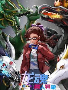 龙魂:同人异象