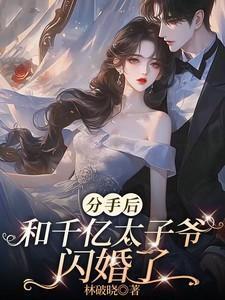 分手后,和千亿太子爷闪婚了