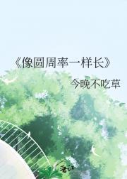 像圆周率一样长