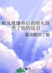 被凤凰嫌弃后我喷火烧秃了他的尾羽