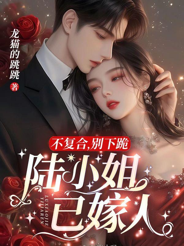 不复合,别下跪,陆小姐已嫁人