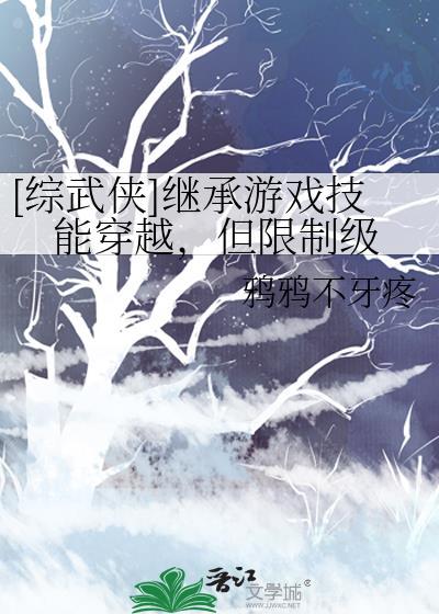 [综武侠]继承游戏技能穿越，但限制级