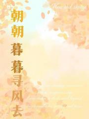朝朝暮暮寻风去