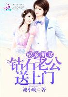 秘宠萌妻:钻石老公送上门