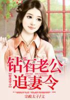 情逢帝少:钻石老公追妻令