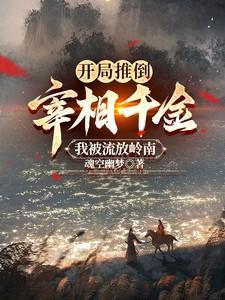 开局推倒宰相千金,我被流放岭南