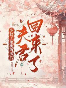 小叔子兼祧两房后,夫君回来了